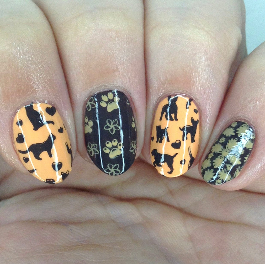 SFAC: Kaua'i Humane Society (M367) - Nail Stamping Plate
