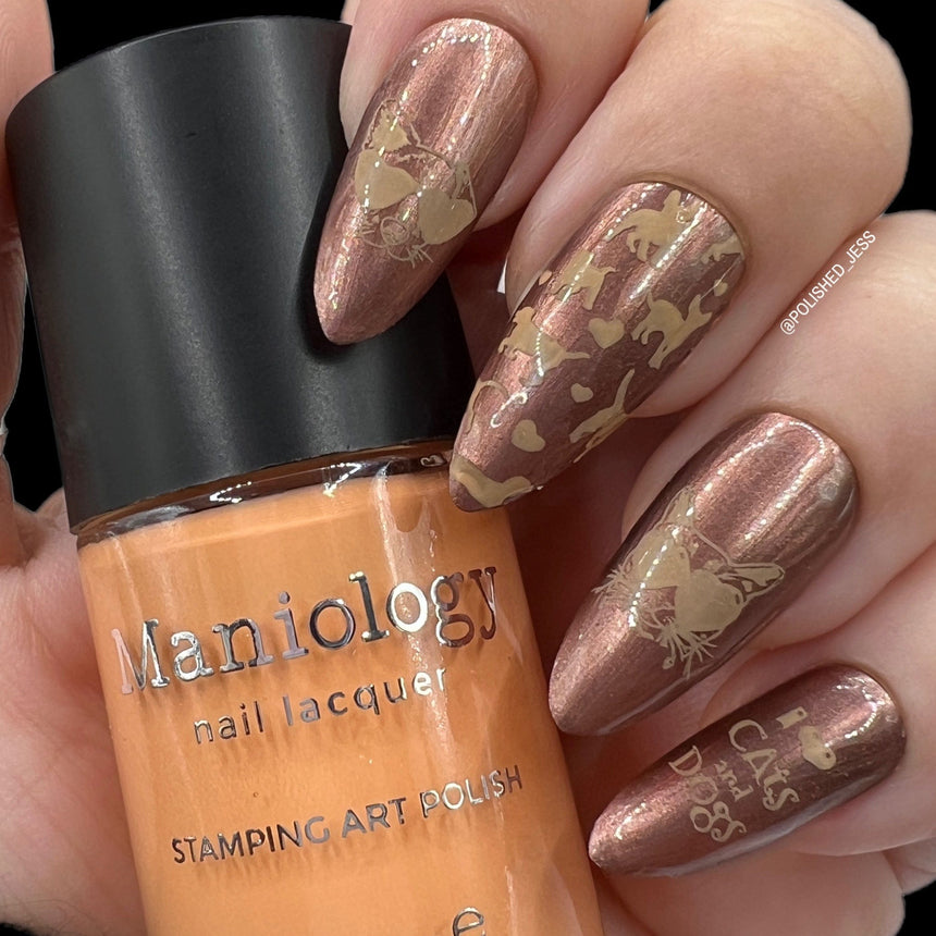 SFAC - Kauai Humane Society Nail Stamping Bundle