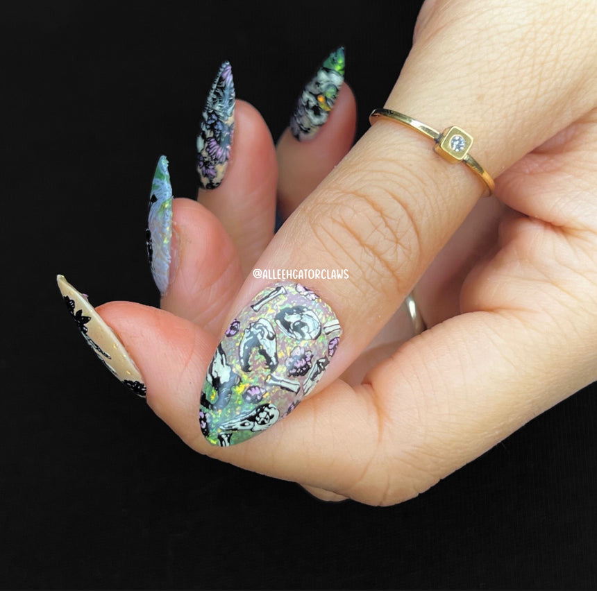 Skeletons in the Closet (M314) - Nail Stamping Plate