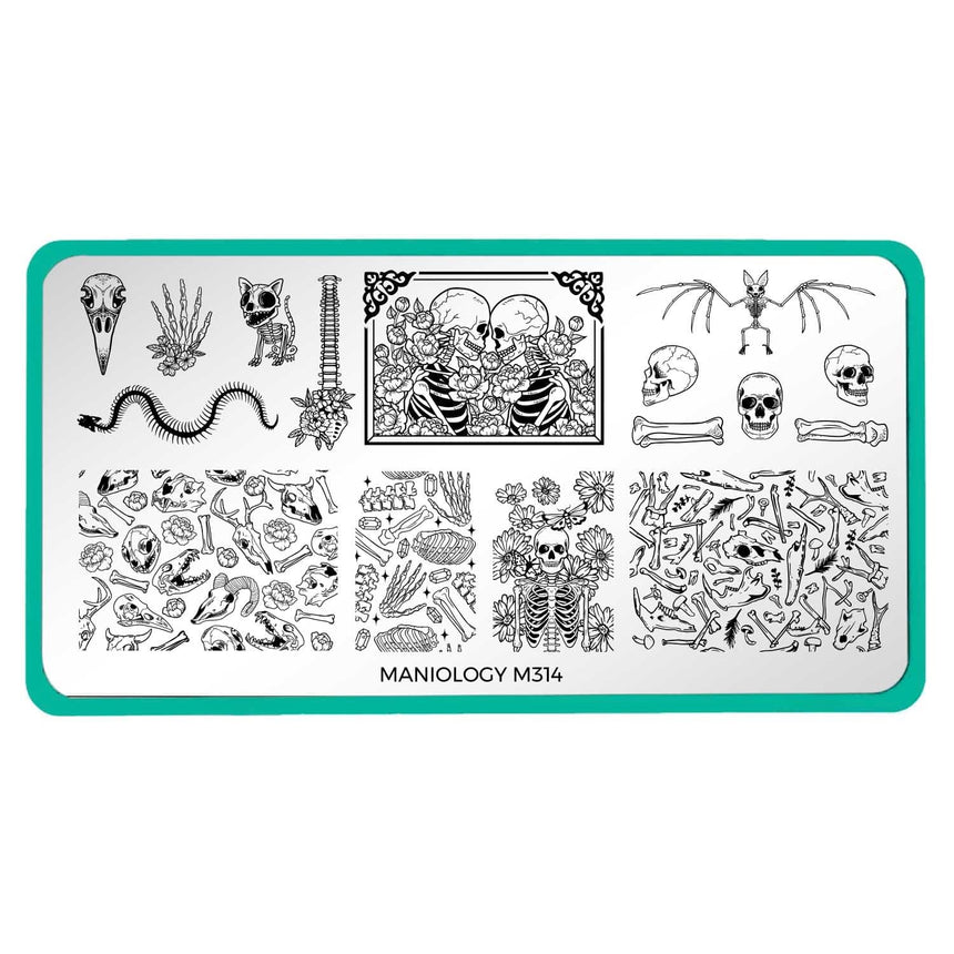 Skeletons in the Closet (M314) - Nail Stamping Plate