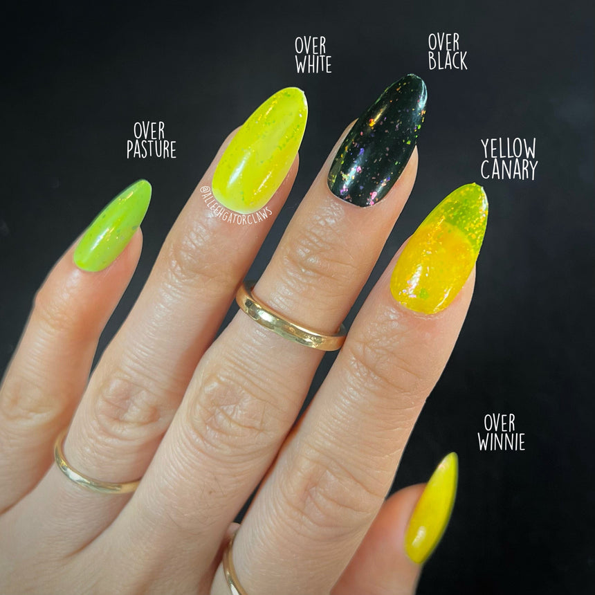 Songbird: 3-Piece Jelly Flakies Topper Nail Polish Set