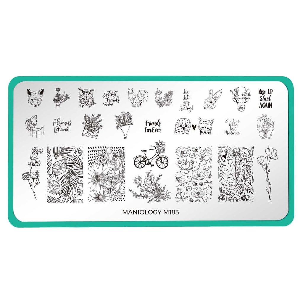 Stamping Plates – Wildflowers