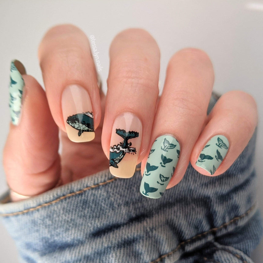 Stamp For A Cause: Hawaii Wildlife Fund (m233) - Nail Stamping Plate