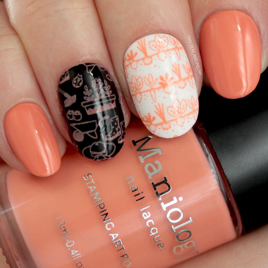 The Gardener: 6-Piece Creamy Pastel Stamping Polish Set