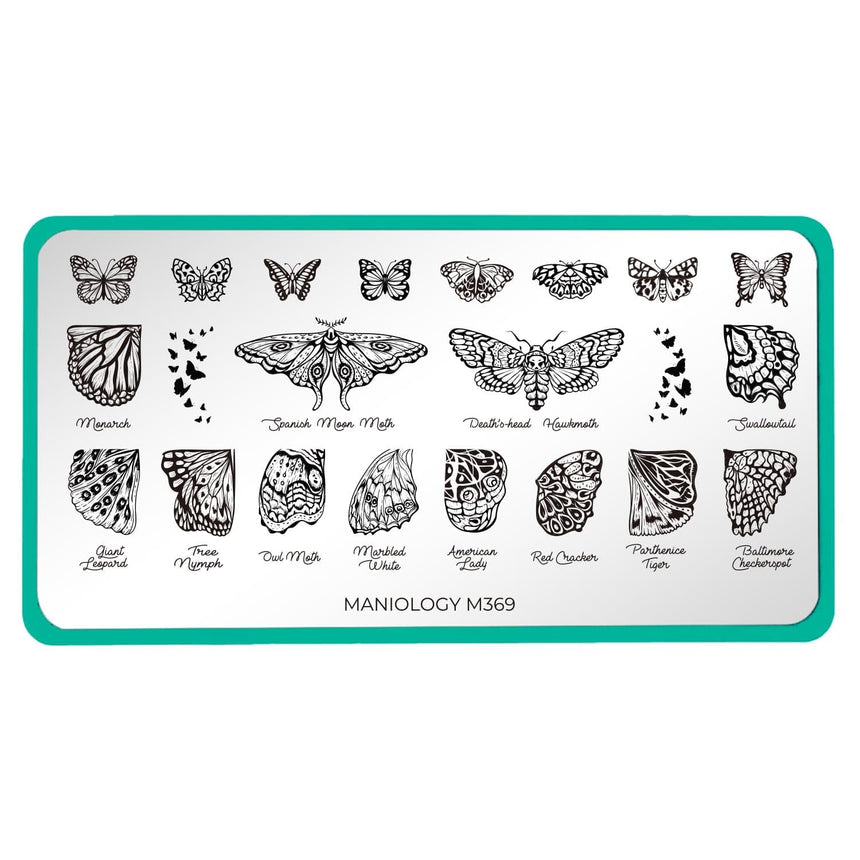 Winged Creatures (M369) - Nail Stamping Plate