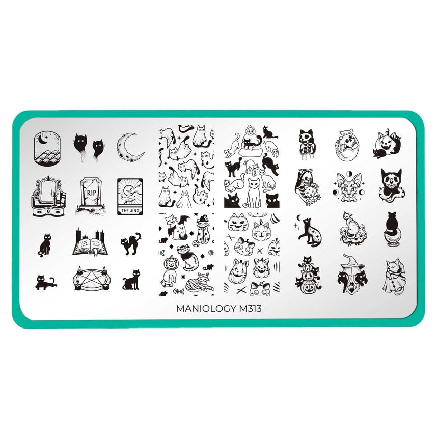 Witch's Familiar (M313) - Nail Stamping Plate