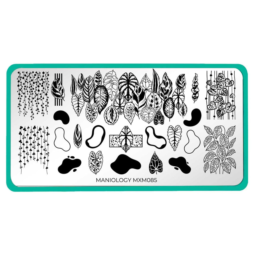Plant Lover: Urban Jungle (MXM085) - Nail Stamping Plate