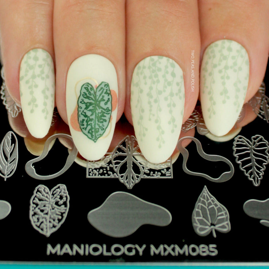 Plant Lover: Urban Jungle (MXM085) - Nail Stamping Plate