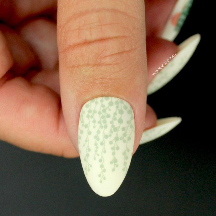 Plant Lover: Urban Jungle (MXM085) - Nail Stamping Plate