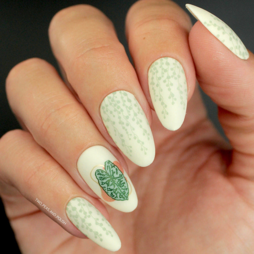 Plant Lover: Urban Jungle (MXM085) - Nail Stamping Plate