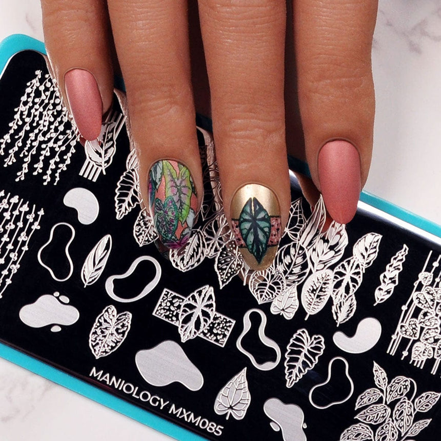 Plant Lover: Urban Jungle (MXM085) - Nail Stamping Plate
