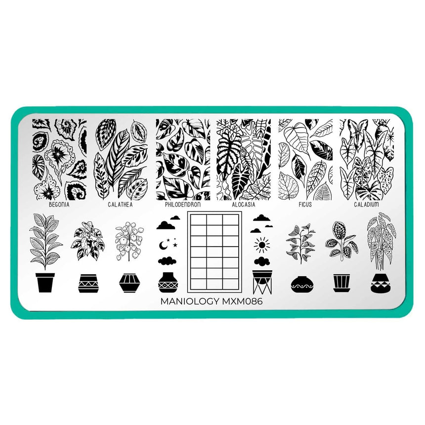 Plant Lover: Lush Living (MXM086) - Nail Stamping Plate