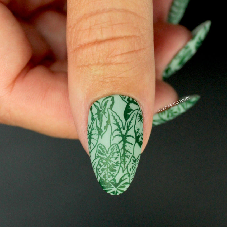 Plant Lover: Lush Living (MXM086) - Nail Stamping Plate