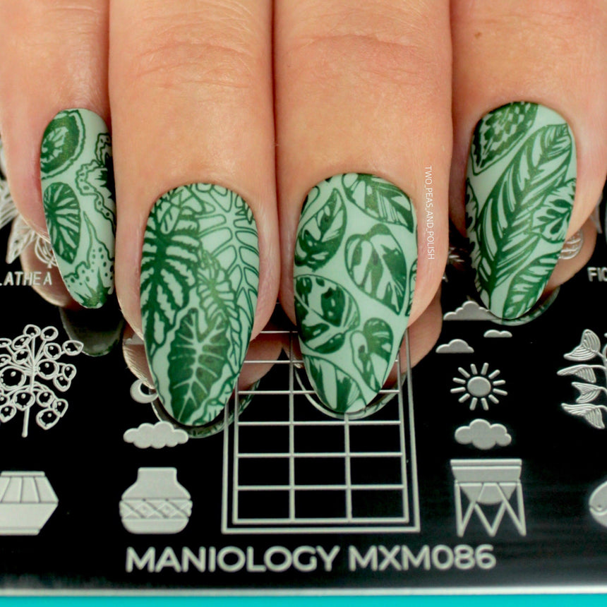 Plant Lover: Lush Living (MXM086) - Nail Stamping Plate