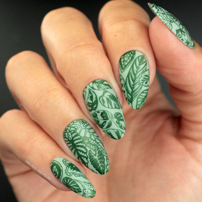Plant Lover: Lush Living (MXM086) - Nail Stamping Plate