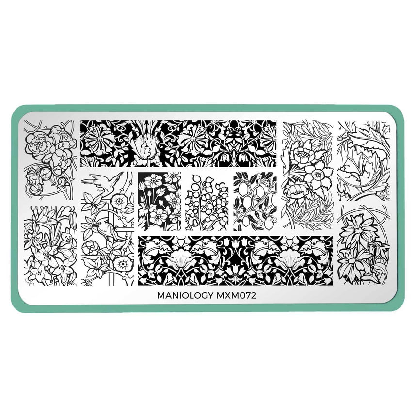 Art Nouveau: Tangled in Bloom (MXM072) - Nail Stamping Plate