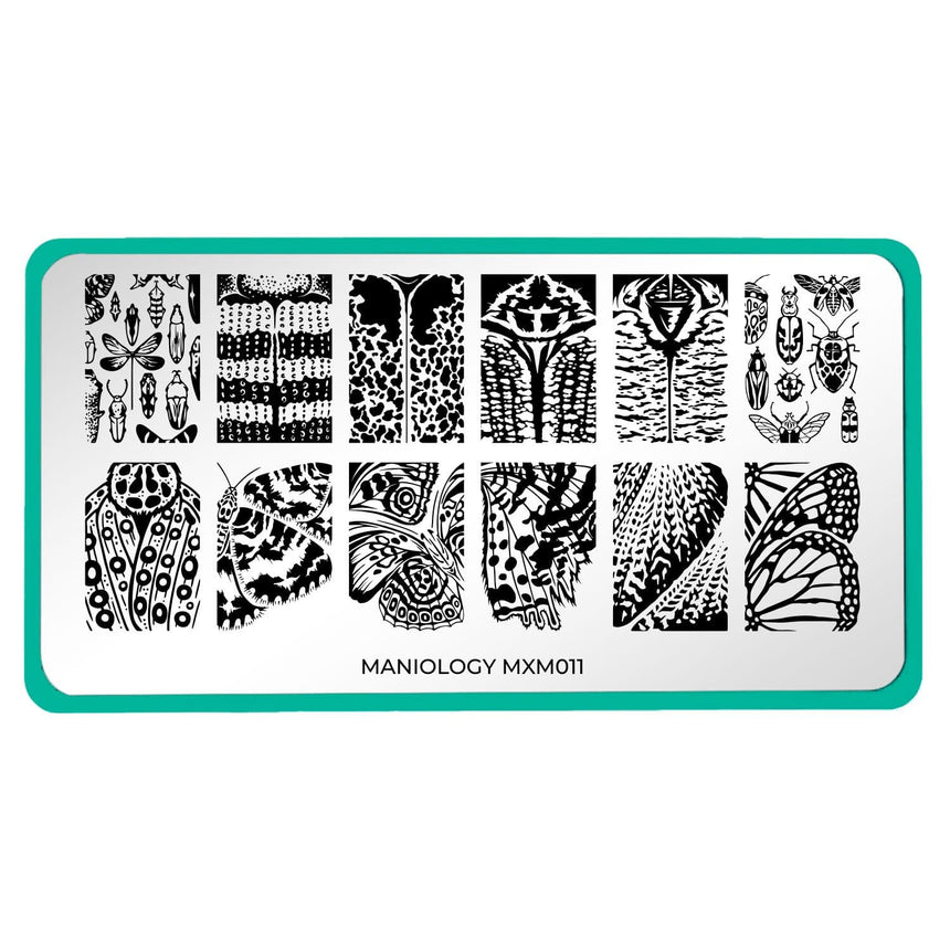 Metamorphosis: Wings of Change (MXM011) - Nail Stamping Plate
