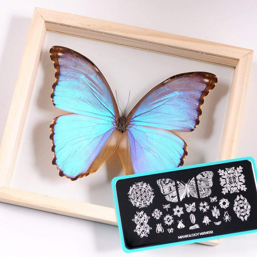 Metamorphosis: Infinite Flutter (MXM012) - Nail Stamping Plate