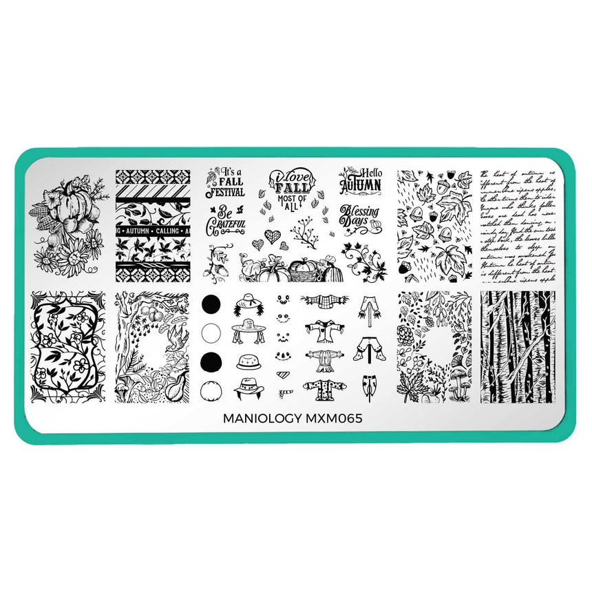 Autumn Memories: Harvest Keepsakes (MXM065) - Nail Stamping Plate