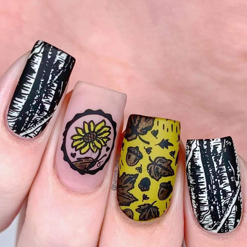 Autumn Memories: Harvest Keepsakes (MXM065) - Nail Stamping Plate