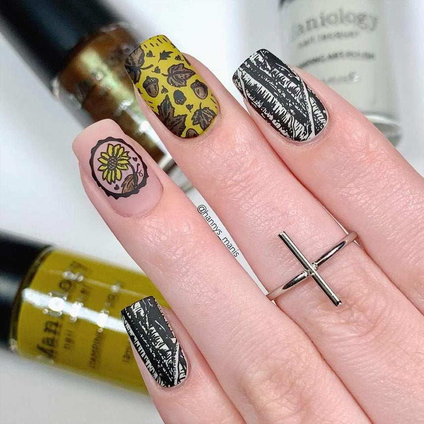 Autumn Memories: Harvest Keepsakes (MXM065) - Nail Stamping Plate