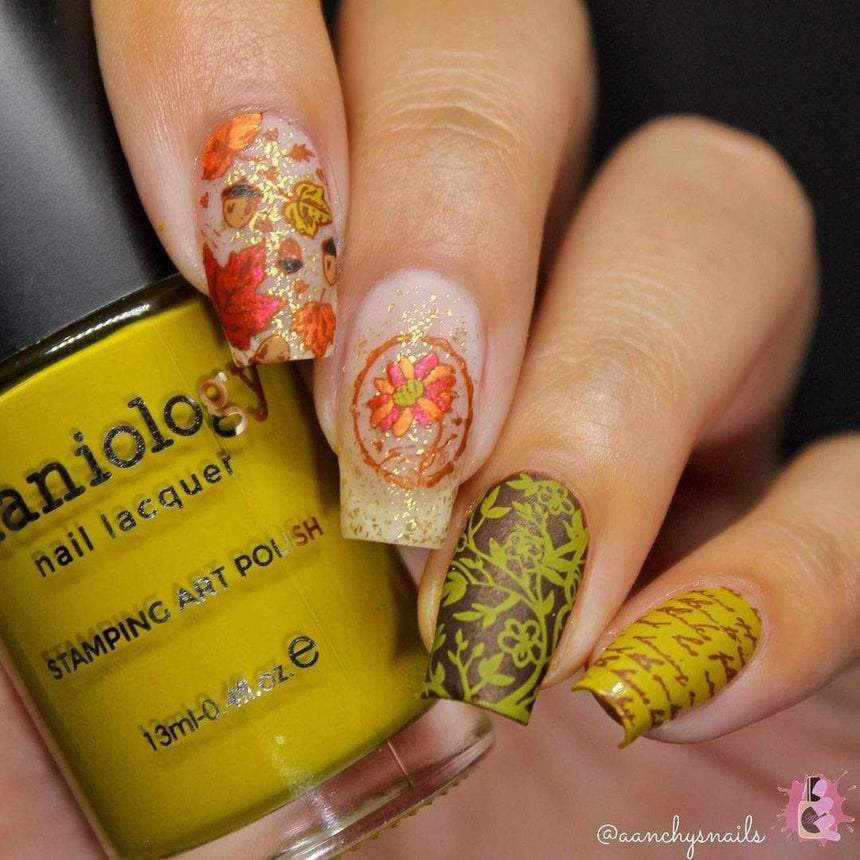 Autumn Memories: Harvest Keepsakes (MXM065) - Nail Stamping Plate