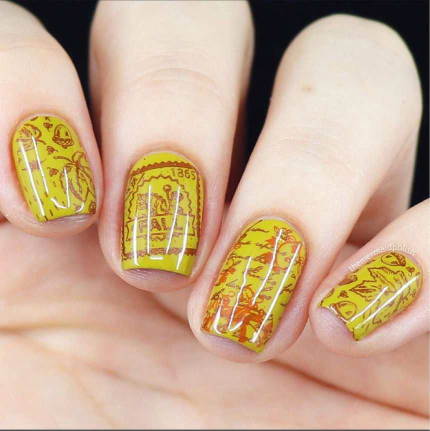 Autumn Memories: Harvest Keepsakes (MXM065) - Nail Stamping Plate