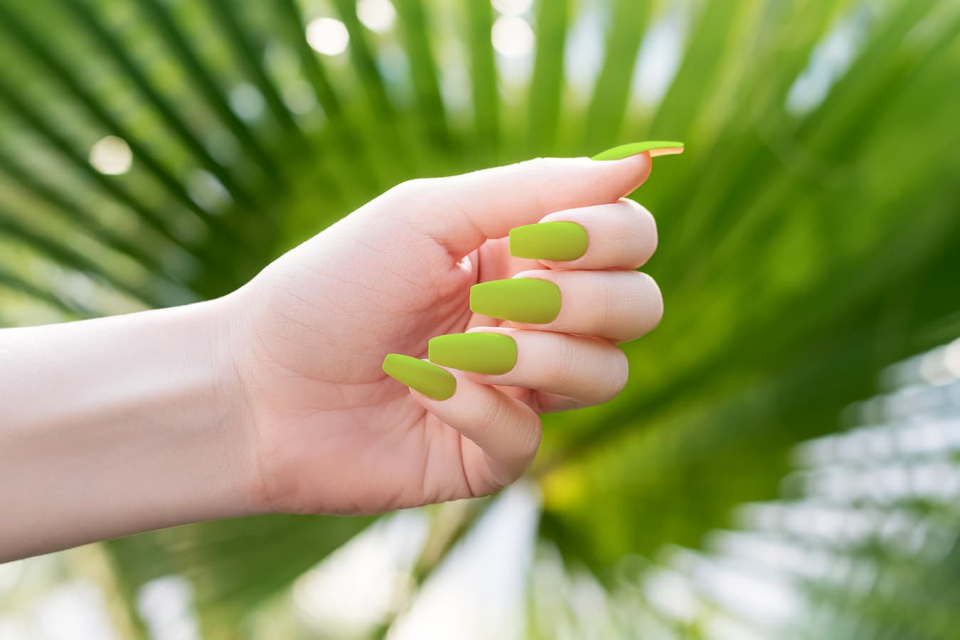 8 Green Nail Designs That Are Trending Now Maniology 8 Green Nail Designs That Are Trending Now Maniology