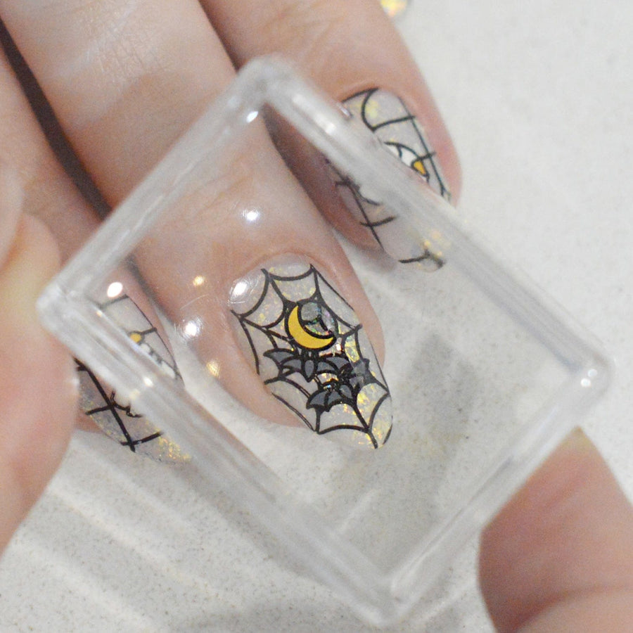 Clear stamper holding a crisp spiderweb design lifted from a plate