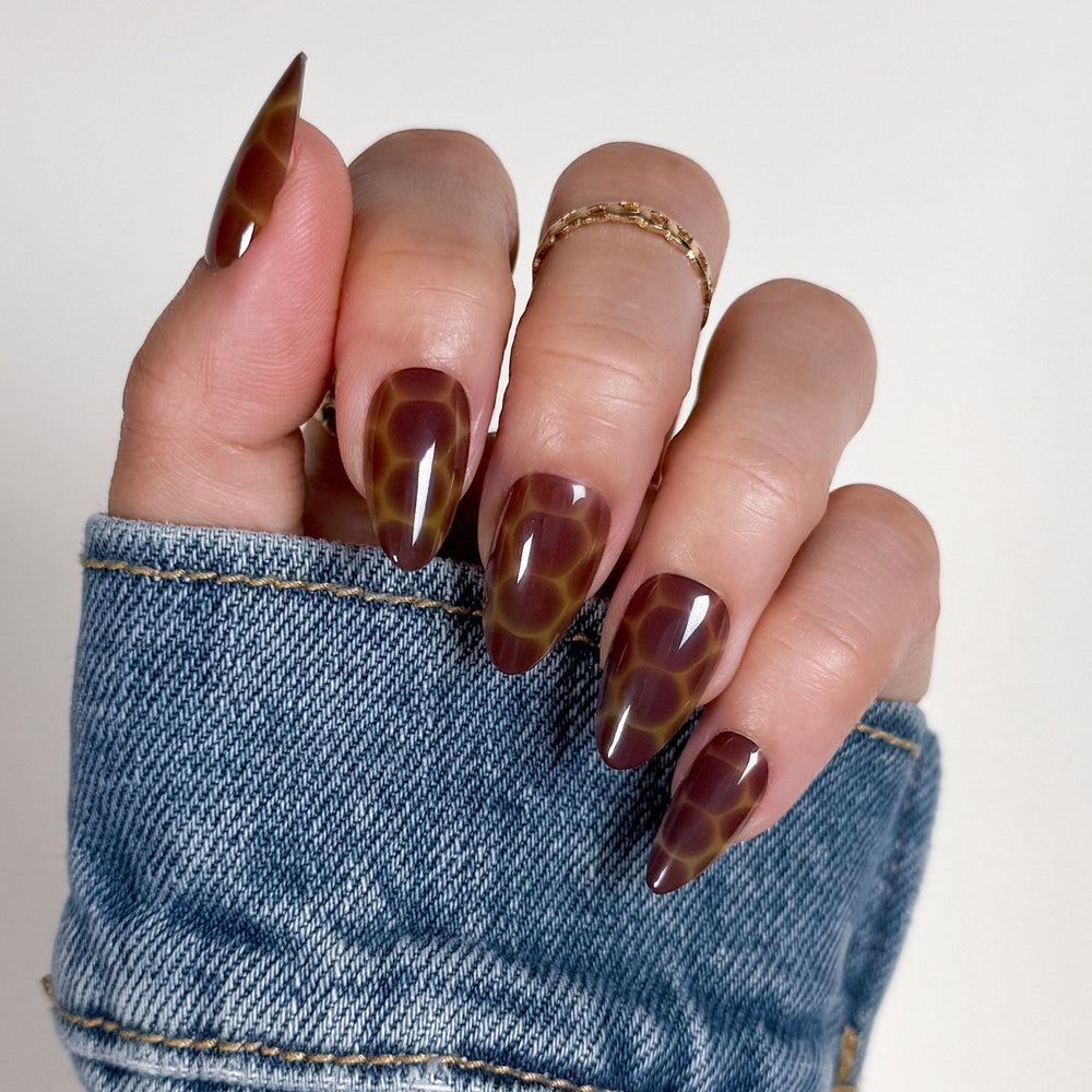 Amber Shell Press On Nails - Short Almond