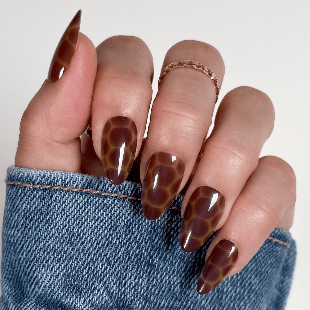 Amber Shell Press On Nails - Short Almond