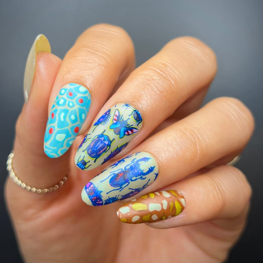 Armored Wings (M468) - Nail Stamping Plate