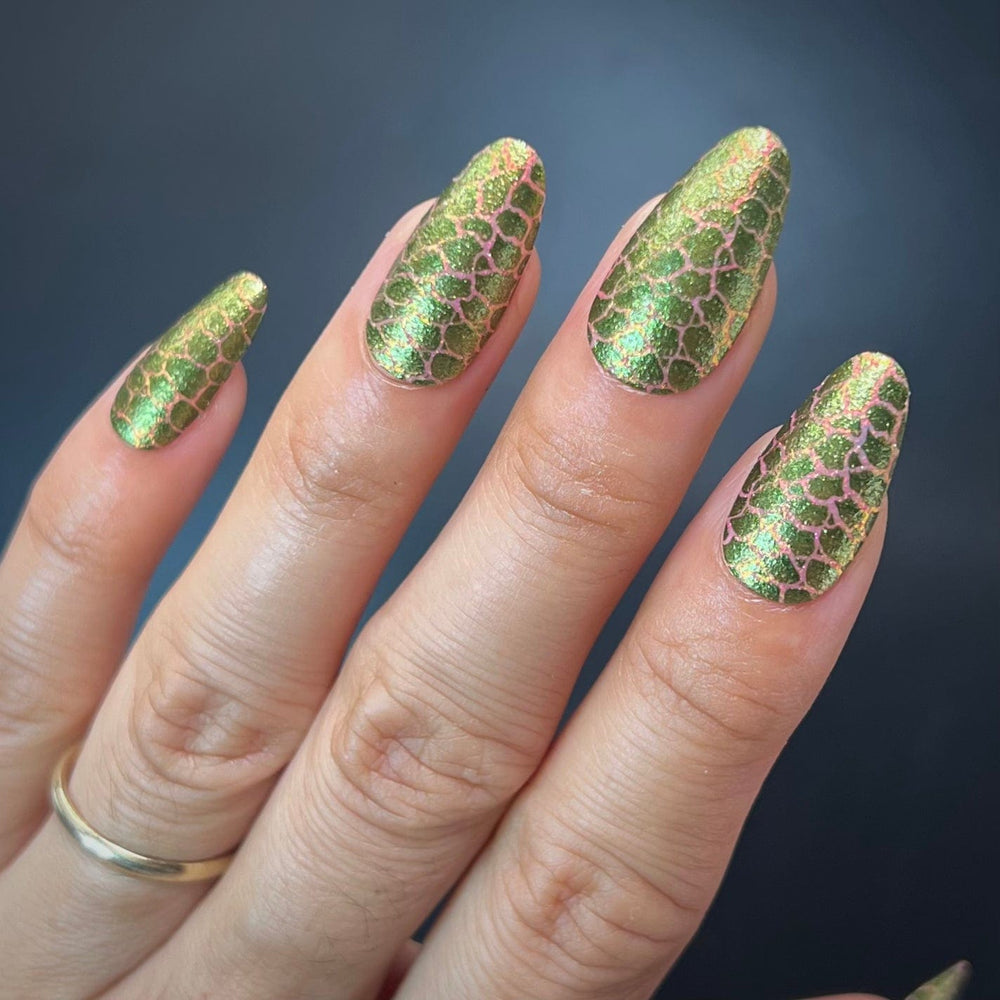 Artist Collaboration: Alleehgatorclaws (M534) - Nail Stamping Plate