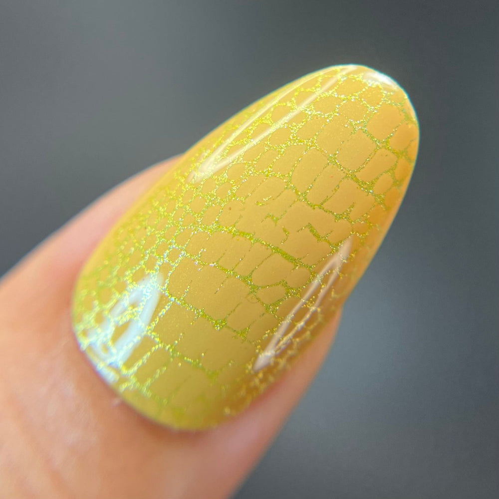 Artist Collaboration: Alleehgatorclaws (M534) - Nail Stamping Plate