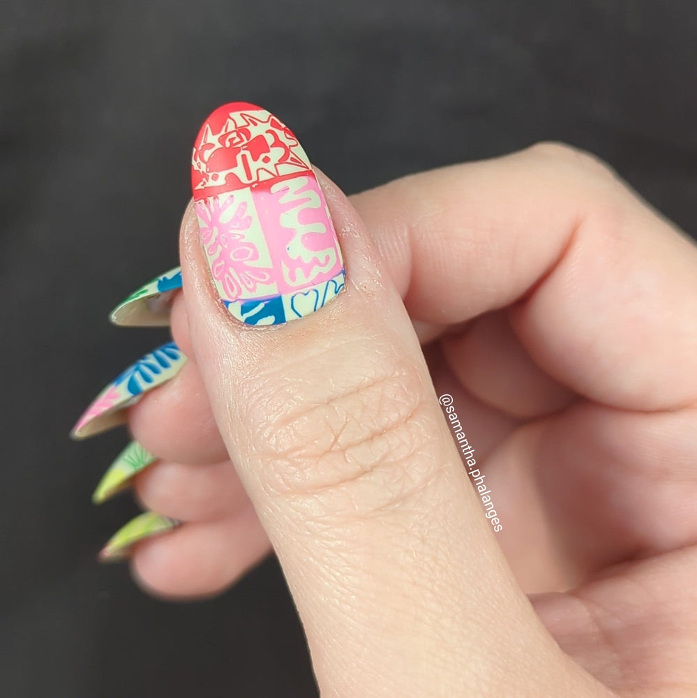 Arts: Henri Matisse (M435) - Nail Stamping Plate