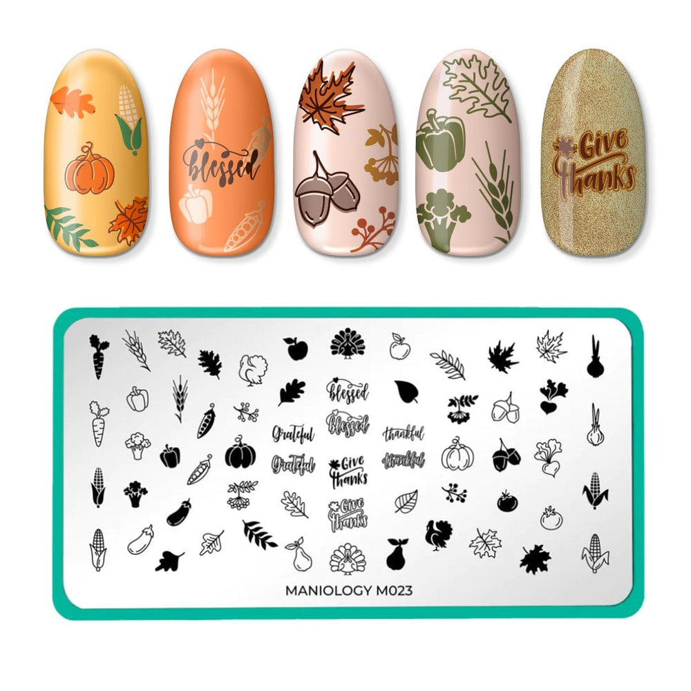 Autumn Harvest: Set of 3 Nail Stamping Plates