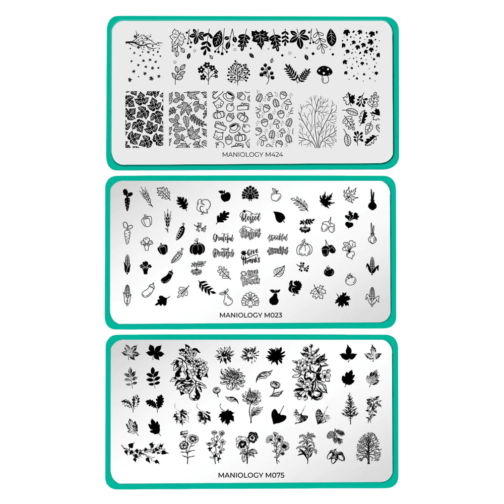 Autumn Harvest: Set of 3 Nail Stamping Plates