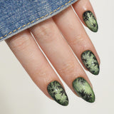 Bamboo Forests (M668) - Nail Stamping Plate