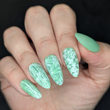 Bamboo Forests (M668) - Nail Stamping Plate