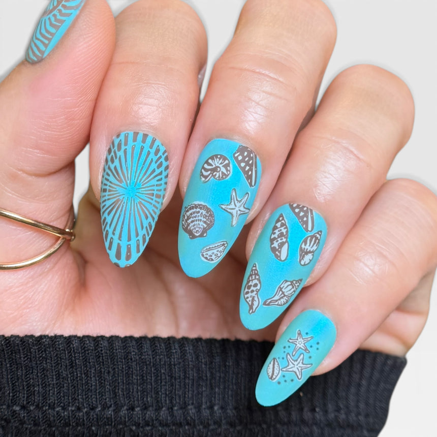 Beachcomber (M706) - Nail Stamping Plate