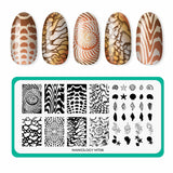 Beachcomber: Nail Stamping Starter Kit
