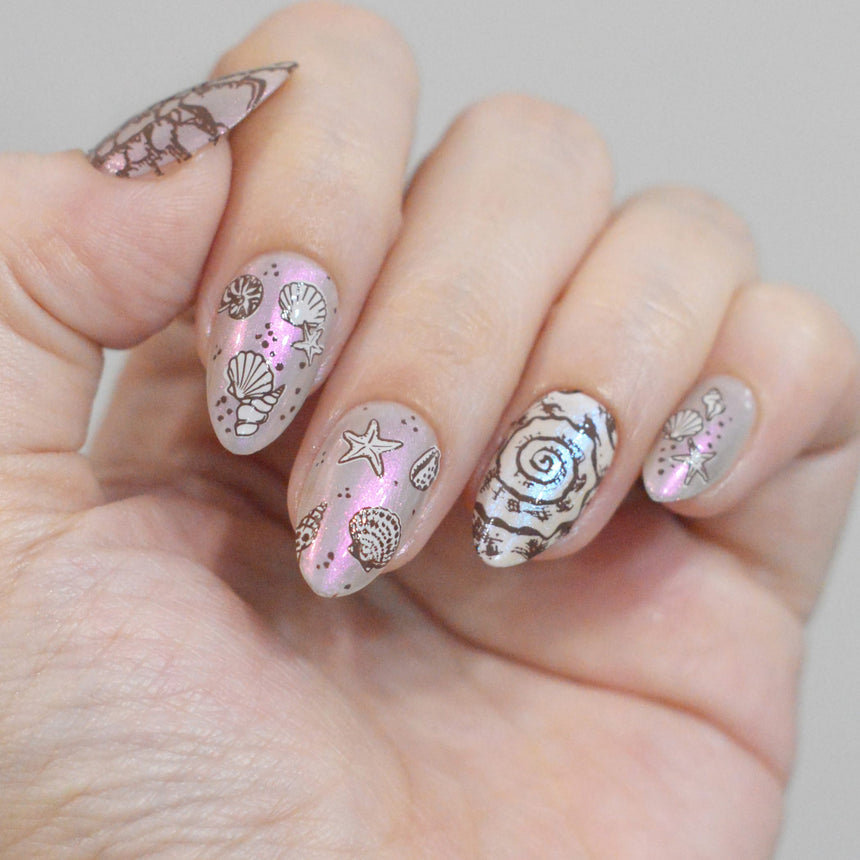 Beachcomber: Nail Stamping Starter Kit