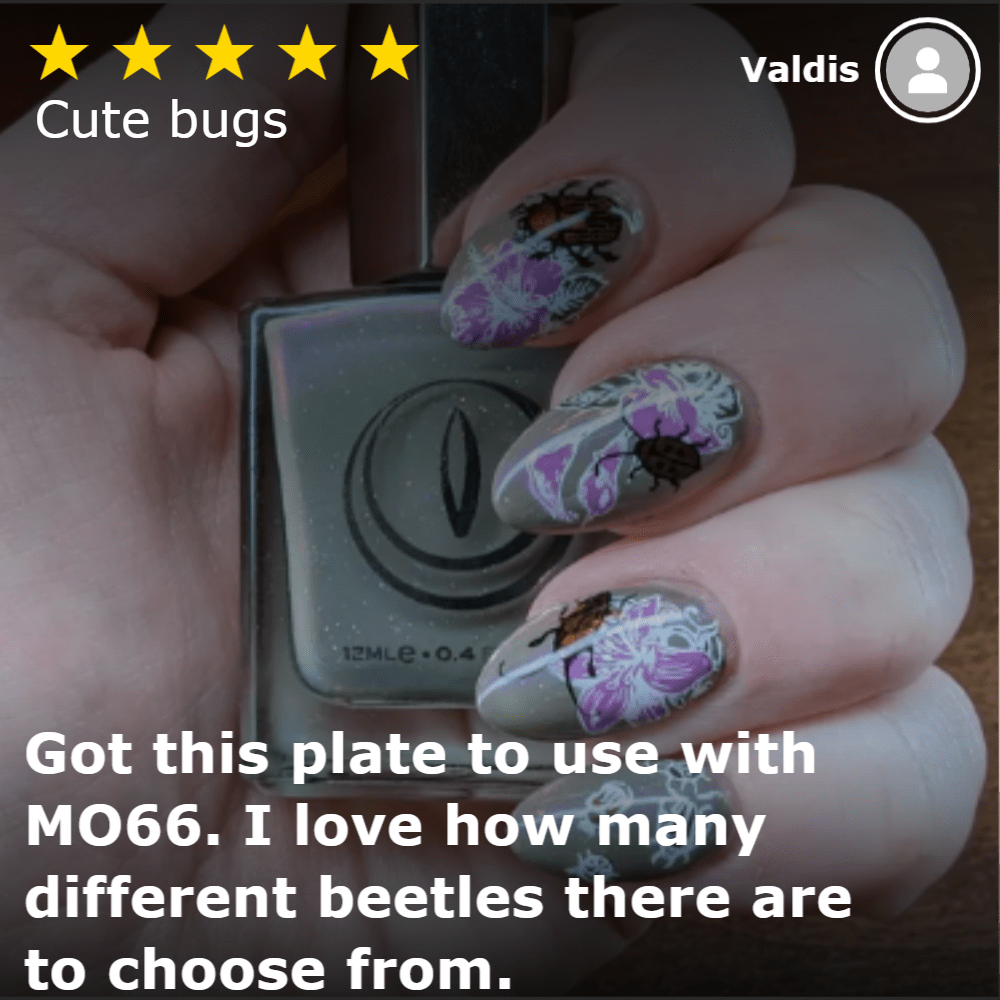 Beetle Mania (M423) - Nail Stamping Plate