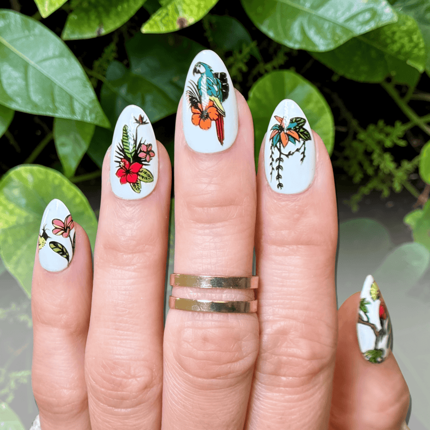 Birds of Paradise (M711) - Nail Stamping Plate