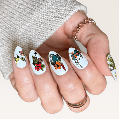 Birds of Paradise (M711) - Nail Stamping Plate