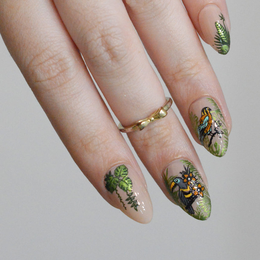 Birds of Paradise (M711) - Nail Stamping Plate