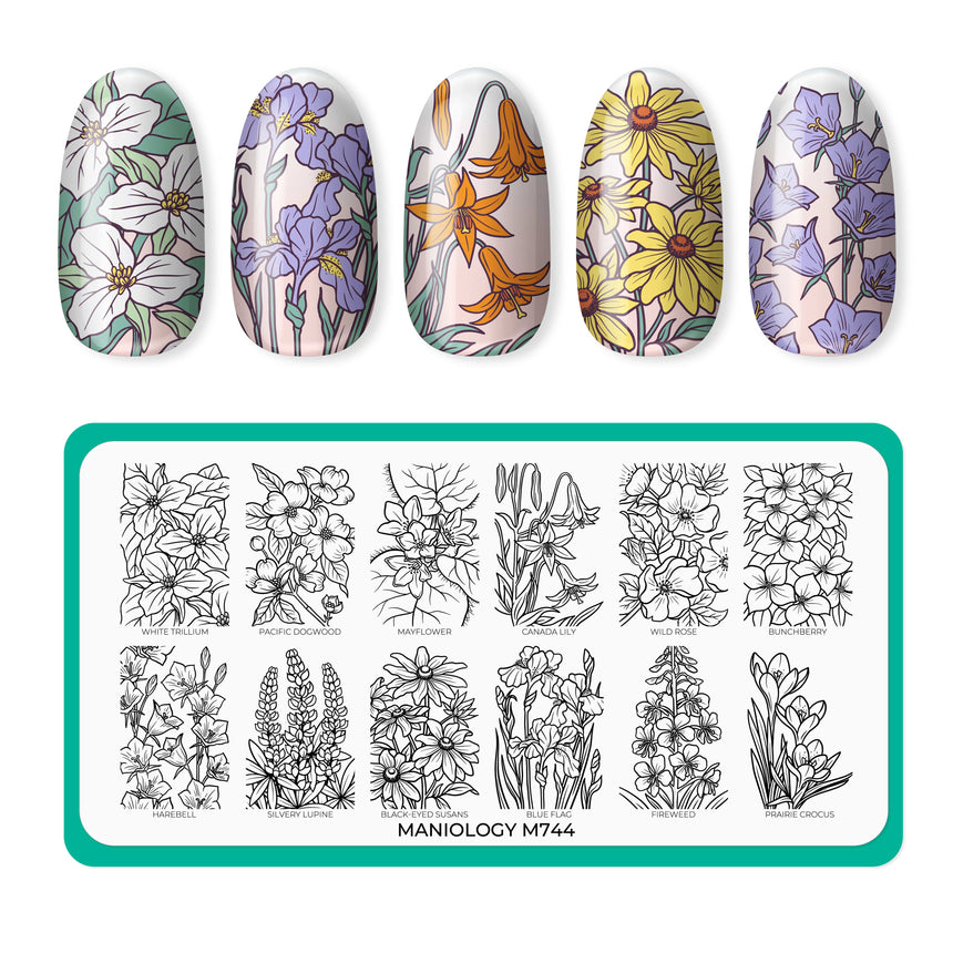 Bloomscape (M744) - Nail Stamping Plate