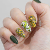 Bloomscape (M744) - Nail Stamping Plate