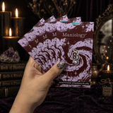 Box of Spells - Limited Edition Halloween Countdown Calendar