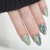 Broken and Beautiful (M679) - Nail Stamping Plate